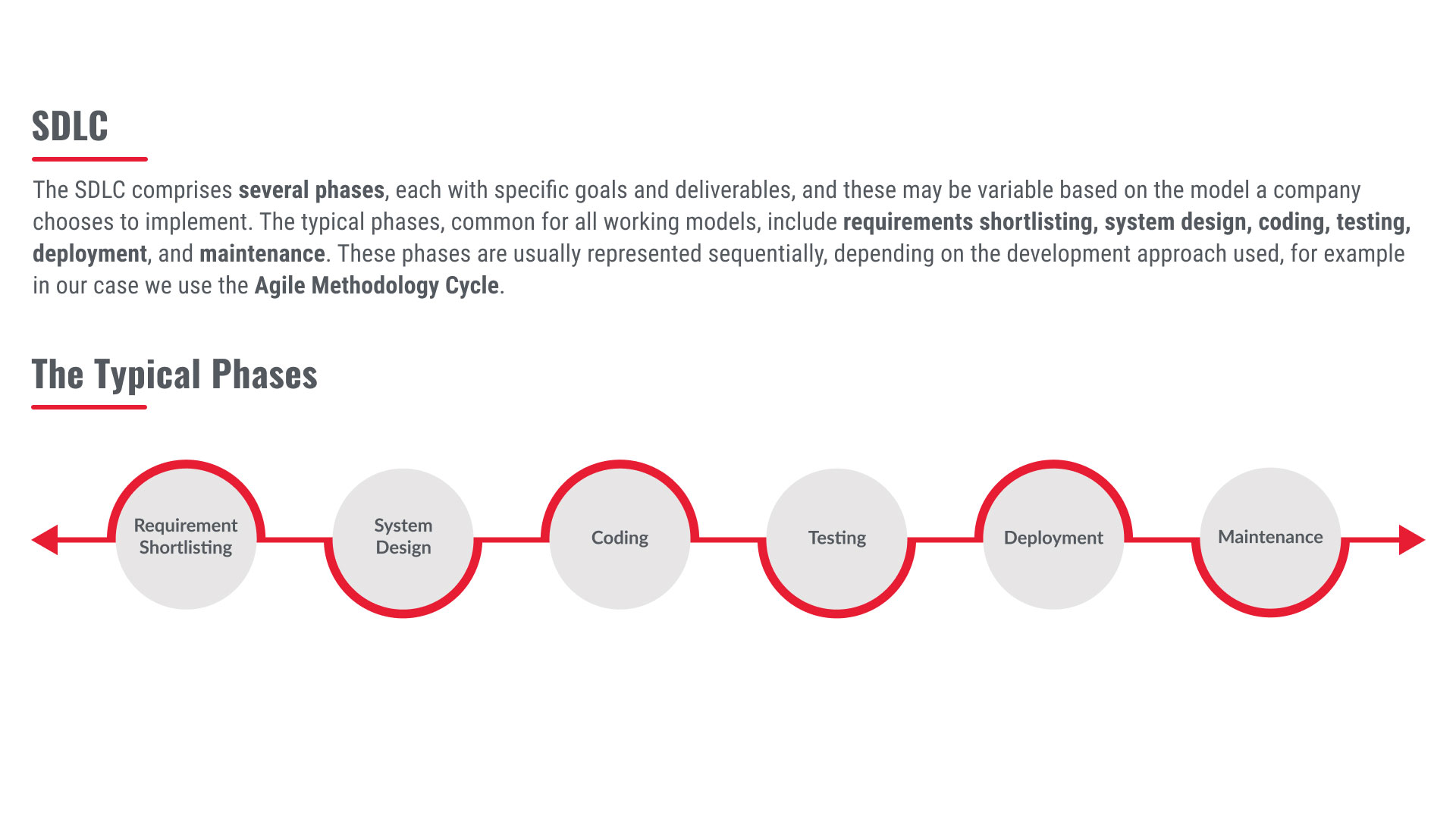 Infographic displaying SDLC and the typical phases it comprises