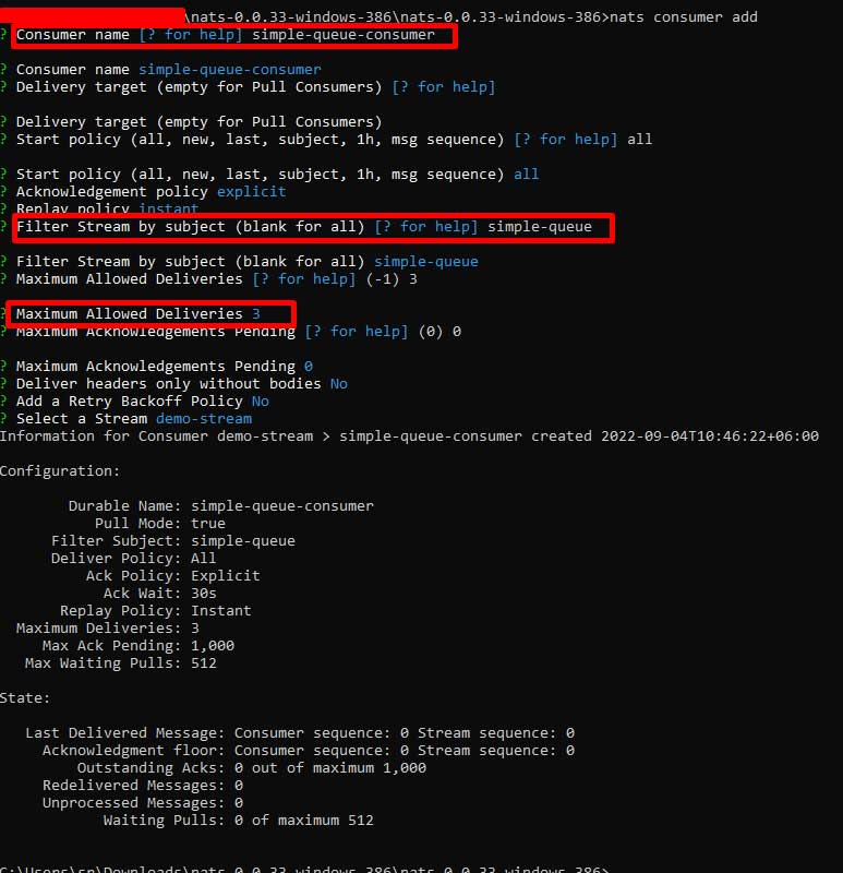 Screenshot of source code snippet displaying NATS customer setup for Building an Asynchronous Messaging Service.